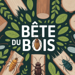 bete du bois insectes xylophages illustration maison