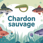 illustration de différentes espèces de chardon sauvage en nature