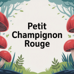 Illustration de plusieurs petits champignons rouges en clairière