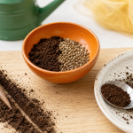 Semis de carottes marc de café : graines dans un sillon de 1 cm